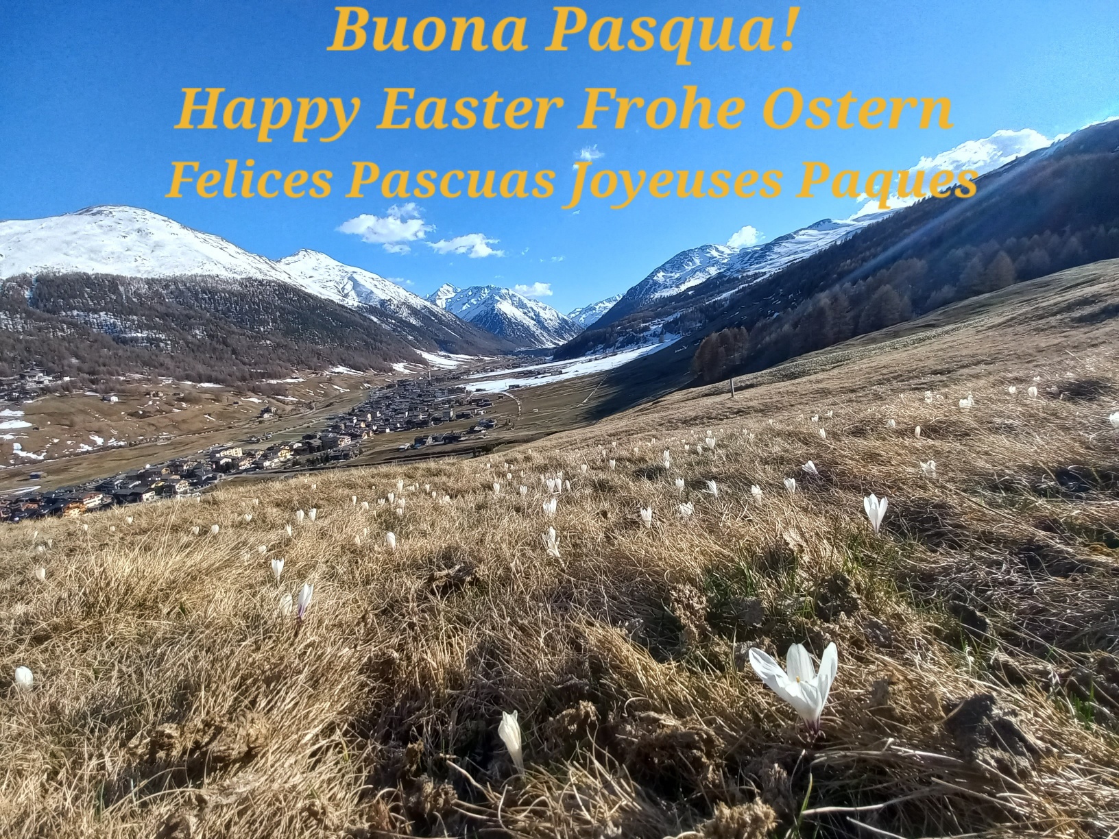 Featured image for “BUONA PASQUA! HAPPY EASTER!”